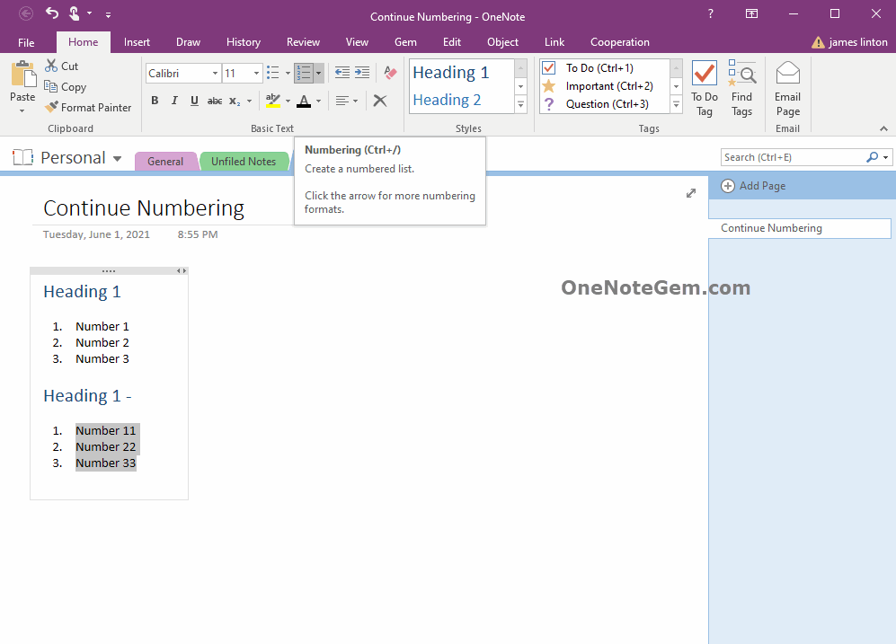 2 個 OneNote 相互隔開的數字編號列表